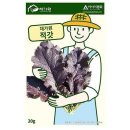 씨앗 이미지