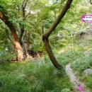 백조약수터 이미지