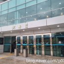 2025 신춘음악회 : Revibe 이미지