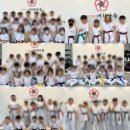 세교한국태권도장 이미지