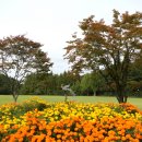 청남대 진입로 이미지