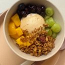 덕성여대 도봉구 그릭요거트 맛집 이요 내돈내산 후기