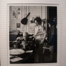 피카소파크 이미지