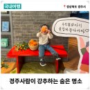 흰고래참가자미횟집 이미지