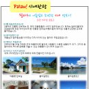 팔라우여행사 이미지
