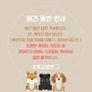 조천고깃간