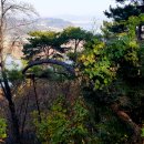 입장 부소문이길 이미지