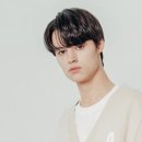 애드스튜디오애드호크