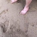 성재민박 | 봉포해수욕장 숙소, 봉포리 숙소 파슬리하우스 숙박 후기 속초뚜벅이여행