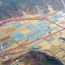 농수산물도매시장 이미지