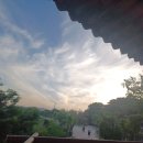 한국에자이(주) 이미지