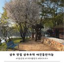 상주 맛집 상주주막 애견동반가능