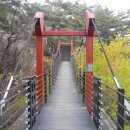 가온나무 이미지