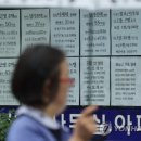 시그널 공인중개사사무소 이미지