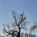 풍납토성 | 풍납토성 걷기