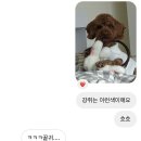 카페위드멍냠 이미지