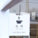 오늘도꽃빛;로하