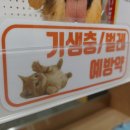 탑미래약국 이미지