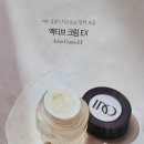 인셀덤판교