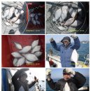 반도낚시 이미지