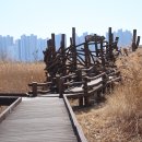 배곧생명공원 이미지