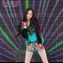 크리스탈 티스토리
