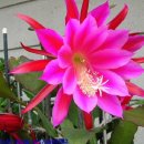 25시노래방 이미지