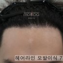 모우헤어 이미지