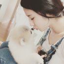 몽이펫 이미지
