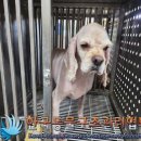 노원-상계-2851 이미지