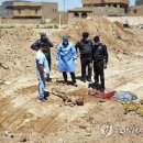 천구농장 이미지