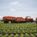 와이즈팜 이미지