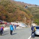 가지산식당 이미지