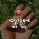 새라네일 - 고양시 덕양구 | 새라네일