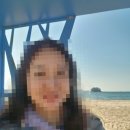 연포해수욕장(송림) 이미지