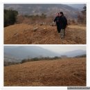 고사리협동조합 이미지