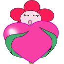 포레음악학원 이미지