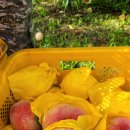 억만농장 이미지