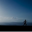 글로엘리트 이미지