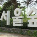 로지오 이미지