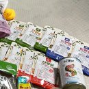 상희독스 아카데미 | 울산 2024년7월 전시회, 울산유일 반려동물 박람회 "울산펫페어" 후기 :)