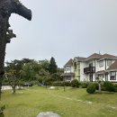 애견동반 강아지랑 여행가기 좋은 태안 안면도 여행 (프리독펜션/딴뚝칼국수/밧개해수욕장/태안로컬푸드...