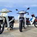 베스트렌트카(주) 이미지