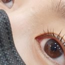 분당-234 이미지