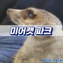 미어켓파크 | 혜화 이색체험 미어캣파크 내돈내산 후기