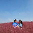 101번지 남산돈까스 양산이마트점 | 2024년 10월 12-13일, 첫 안성 데이트 @안성팜랜드 가을 꽃 구경 나들이