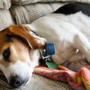 (주)바른정보시스템 이미지