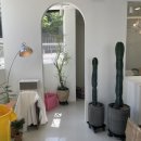 피에이치6.5 이미지