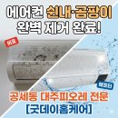 (주)대주환경 | 공세동 대주피오레 에어컨 청소, 삼성 무풍 3구 곰팡이·쉰내 완벽 제거 후기