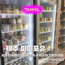 구마4길 | 제주 아기 여행 이유식·유아식 고민 끝 | 공항 10분 거리 마미포유 완벽 정리